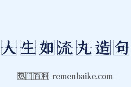 人生如流丸造句是什么意思的图片